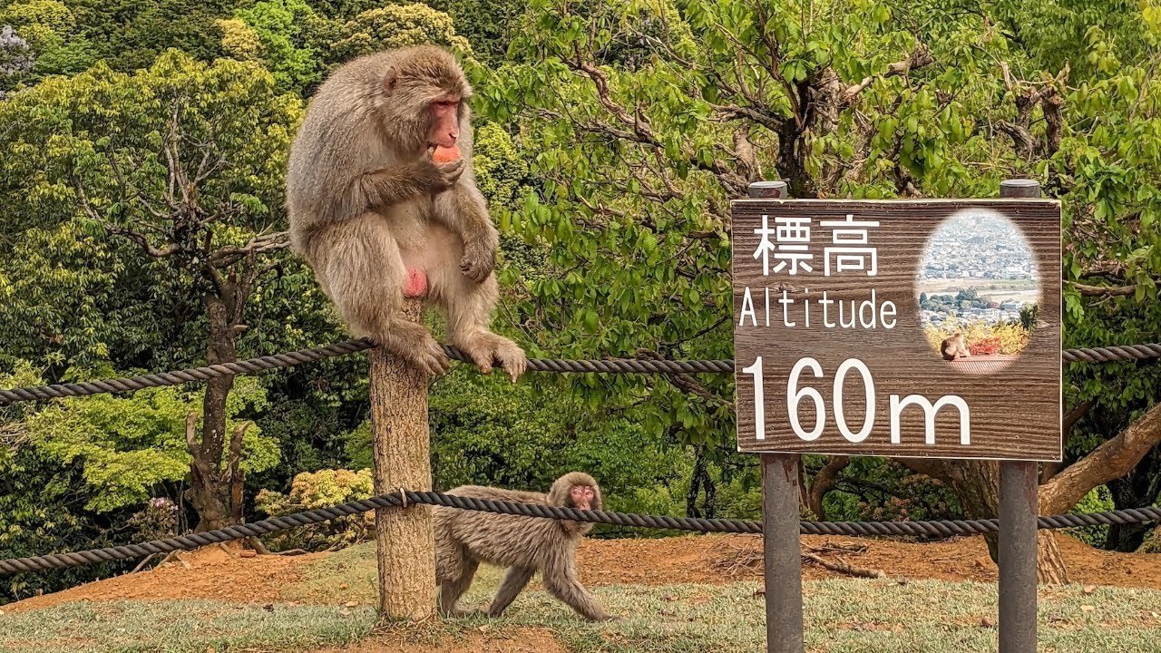 🌸 아리아케노모리 플라워 공원(有明の森フラワー公園) 이미지 5